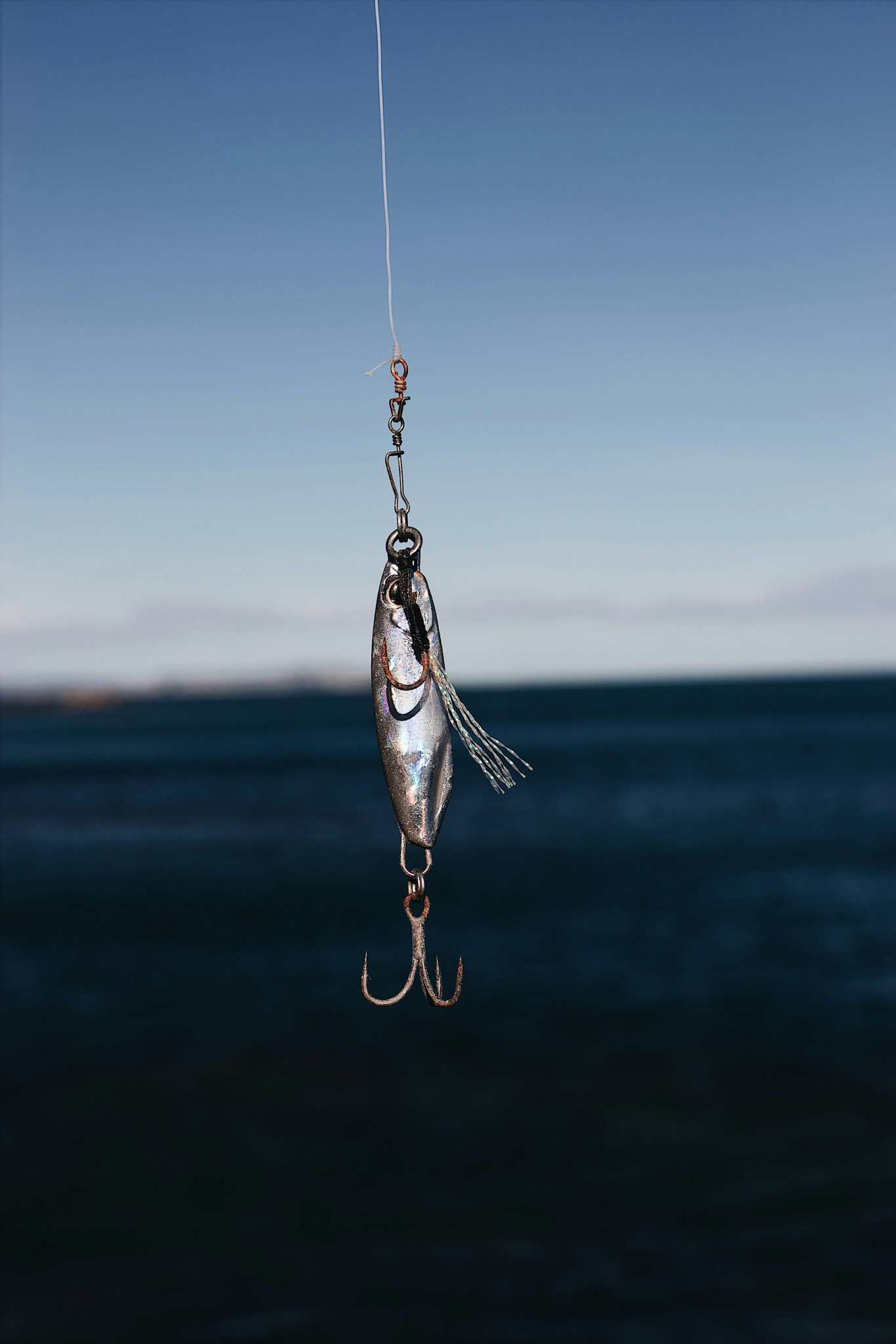 Wild Fish